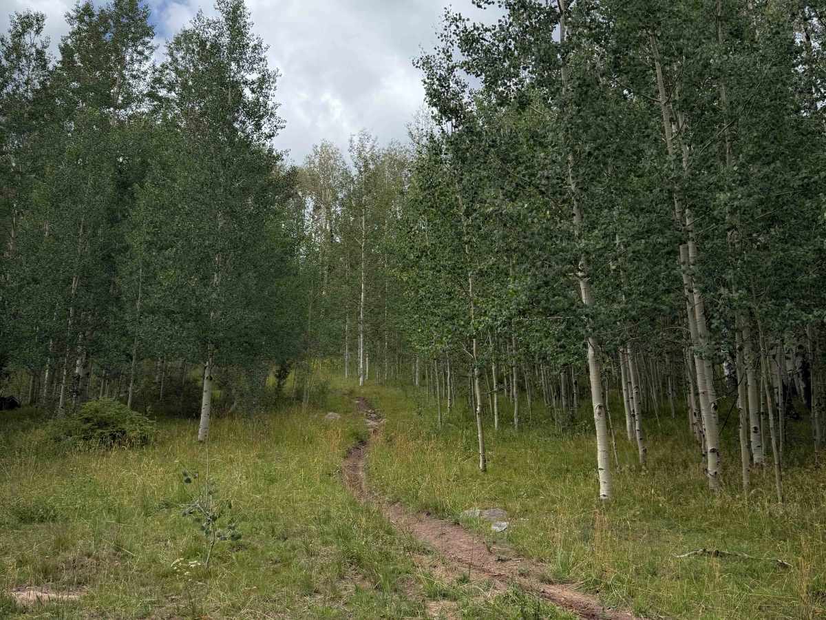 West Twin Springs - Trail 739  photo 4