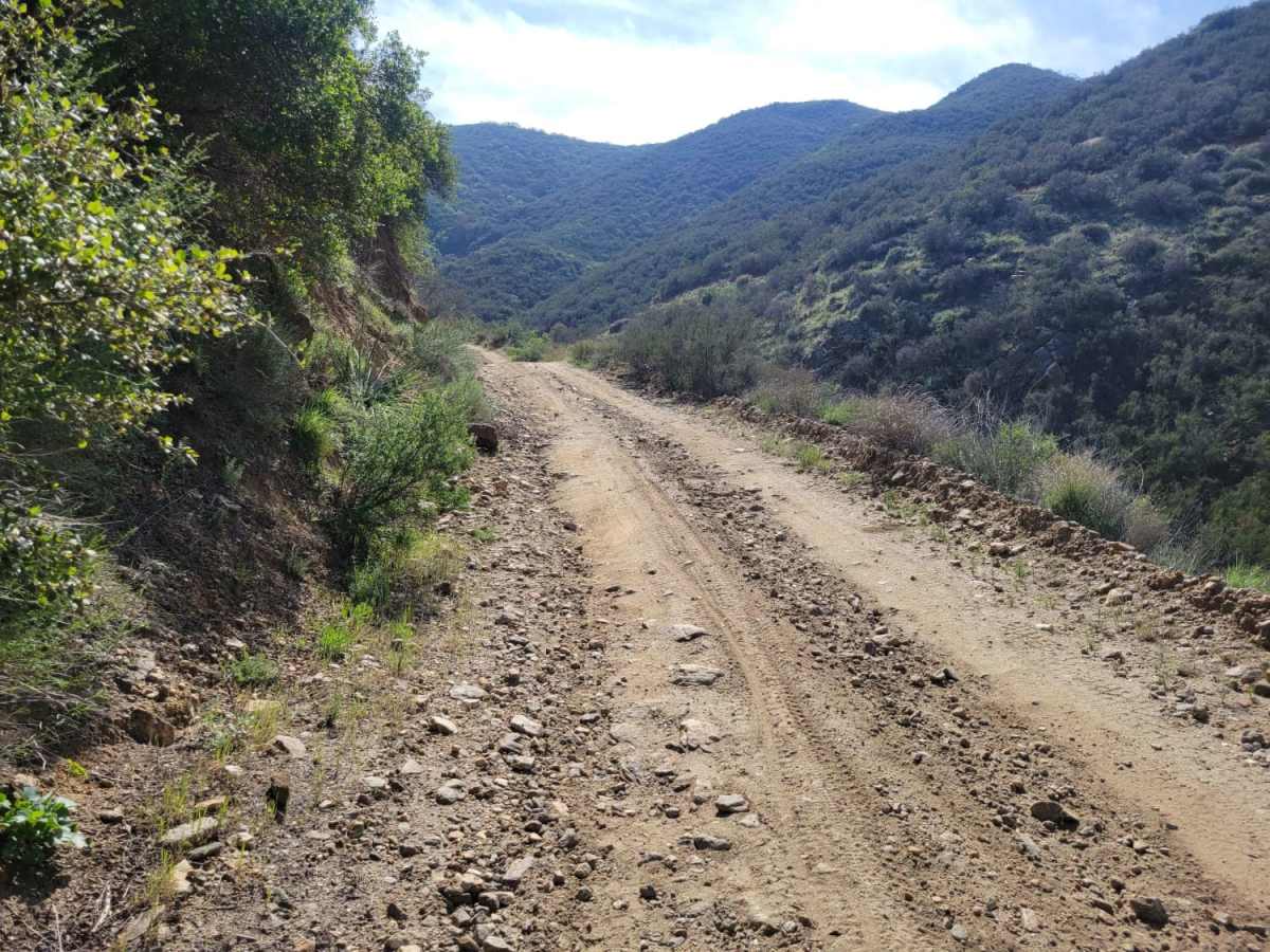 8S05 - North Palomar Mountain Road photo 2