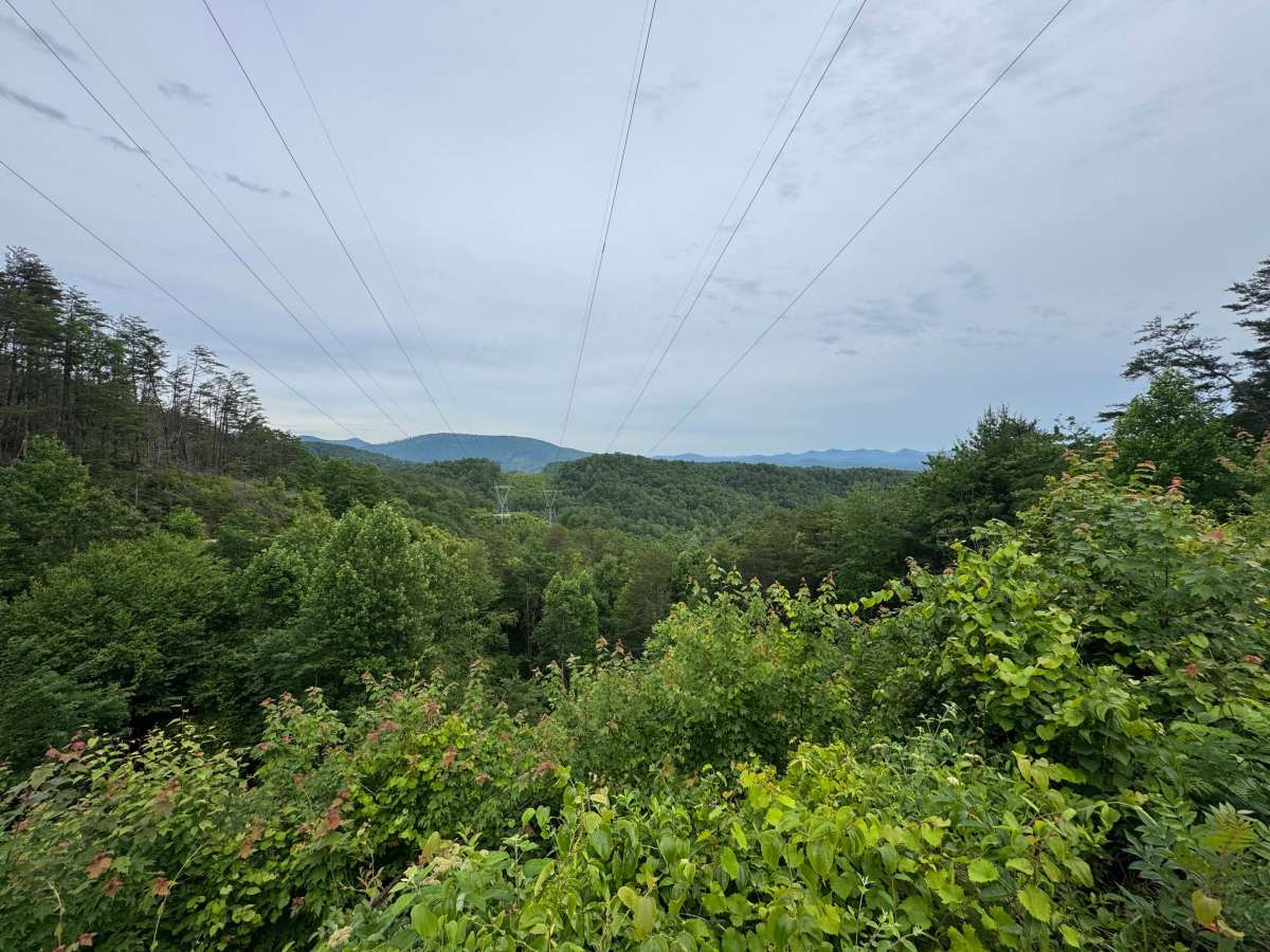 Joe Brown Highway photo 3