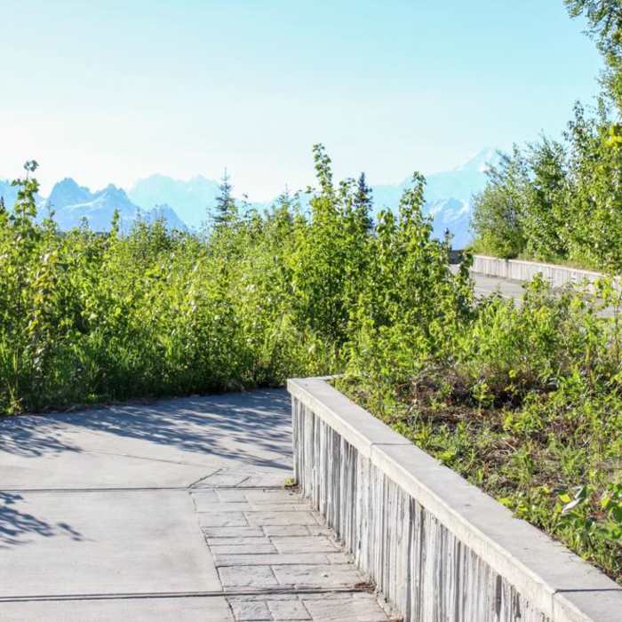 Near Denali Viewpoint South Near Denali Viewpoint South