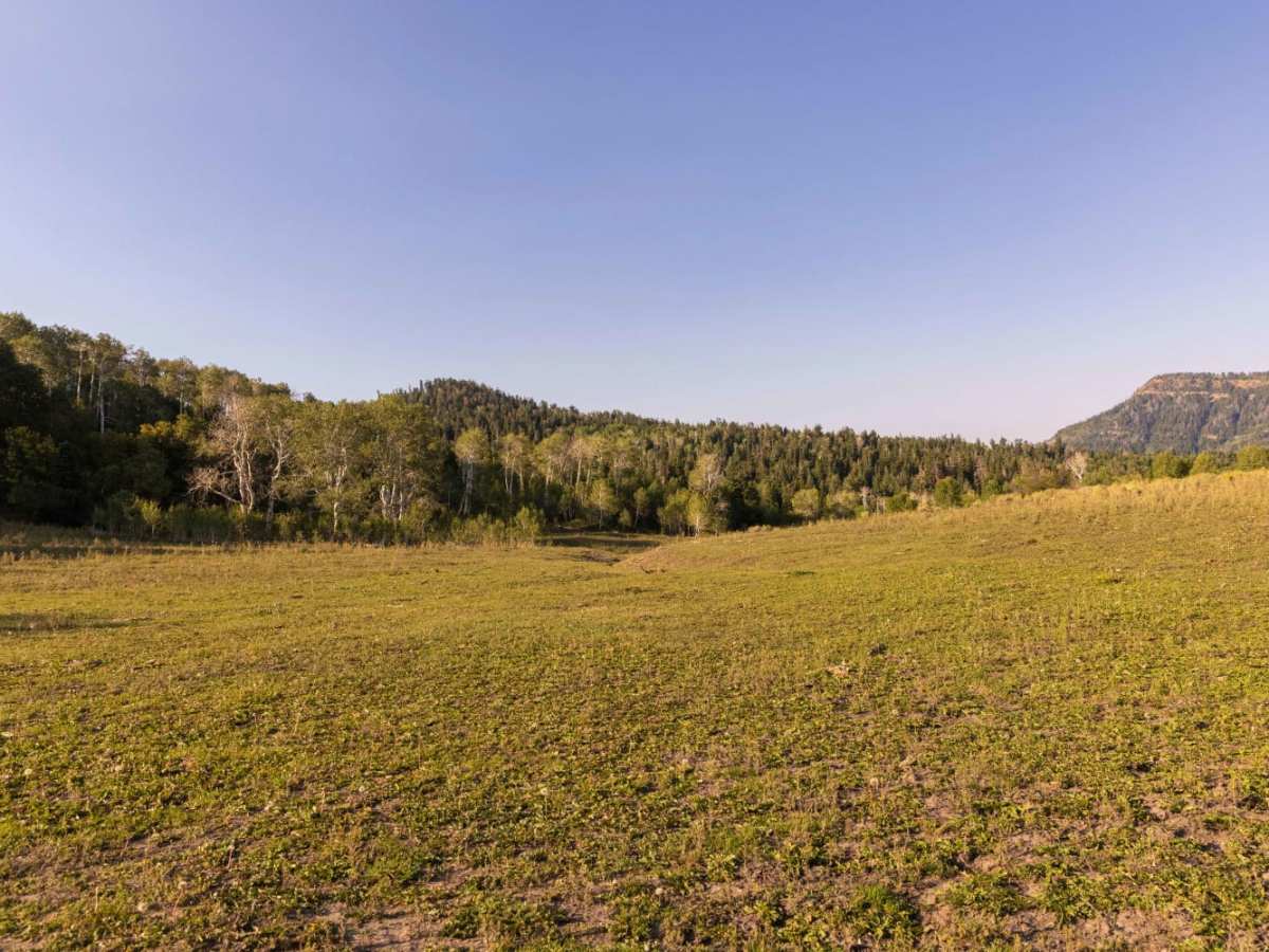 Beaver Creek Ridge trail photo