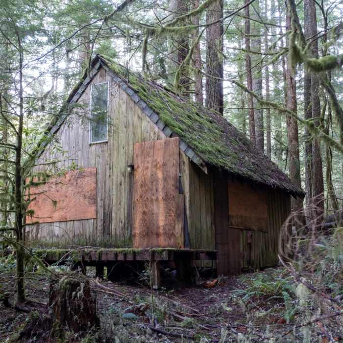 Near Flag Mountain Trail