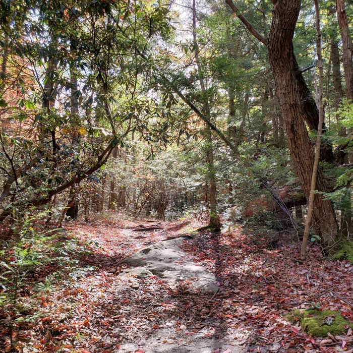 Near Jump Trail