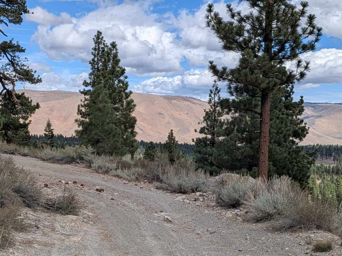 Pumice Canyon - FS 3S41 photo 6