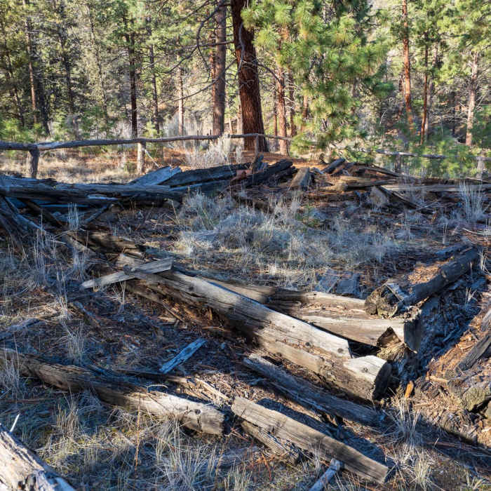 Near Canyon Loop Trail