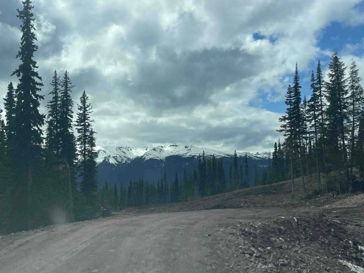 Telkwa 116 Road photo 6