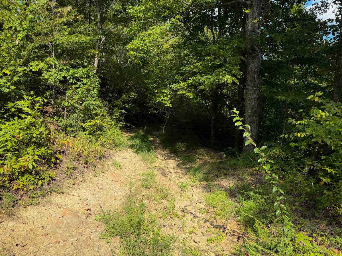 Herman Lowe Trail 25 trail photo