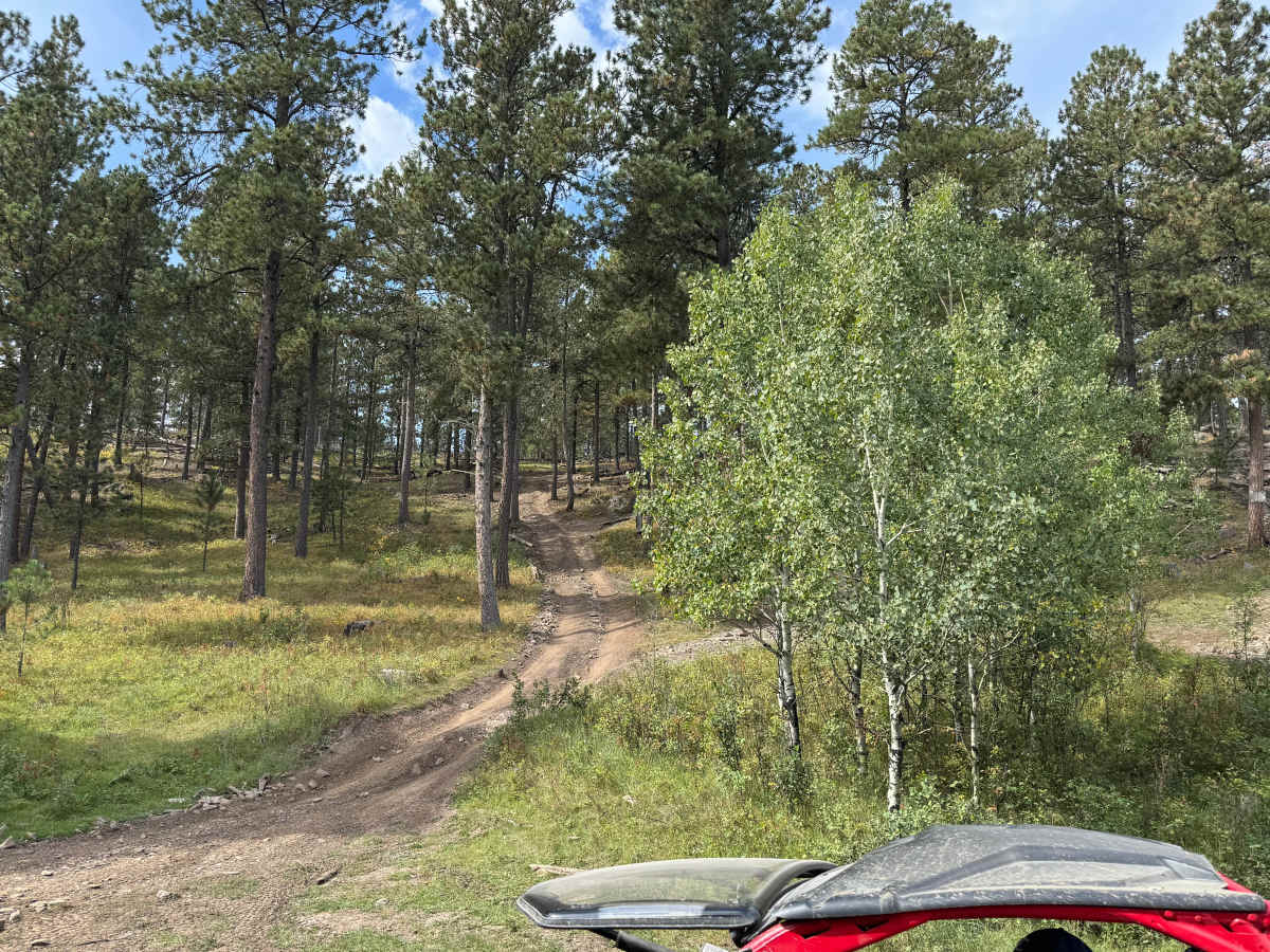 Marshall Gulch photo 5