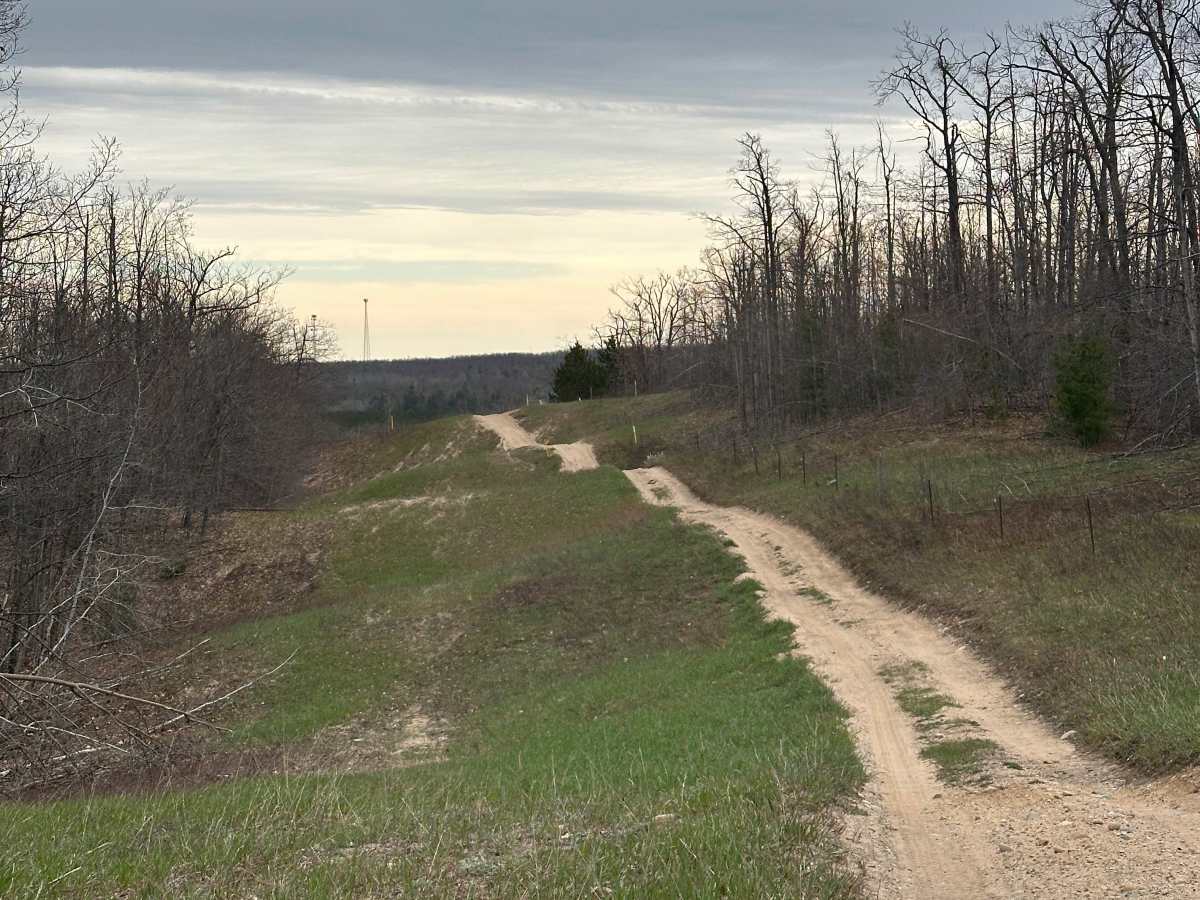 Pipeline Track photo 2