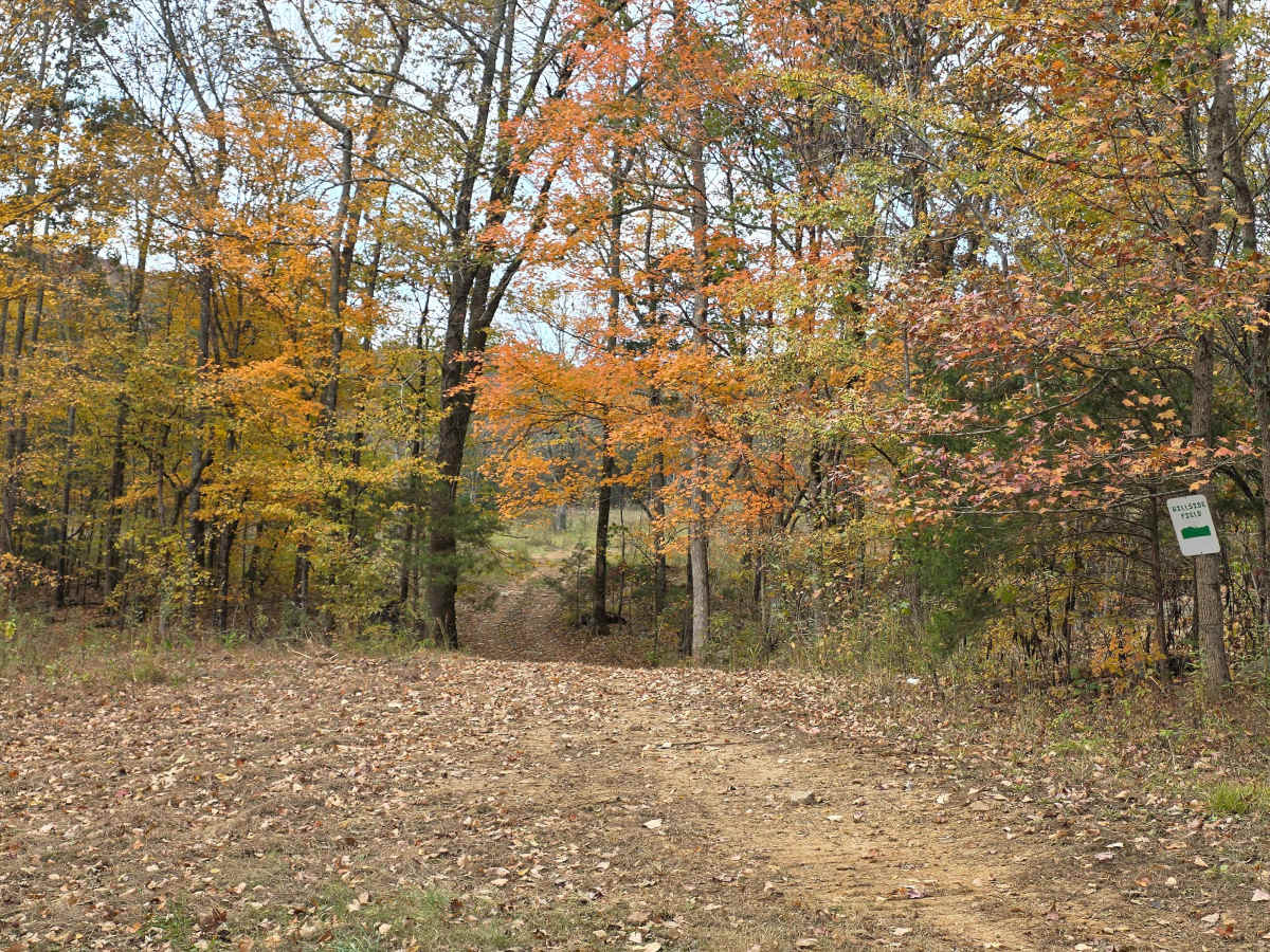 Field Loop trail photo