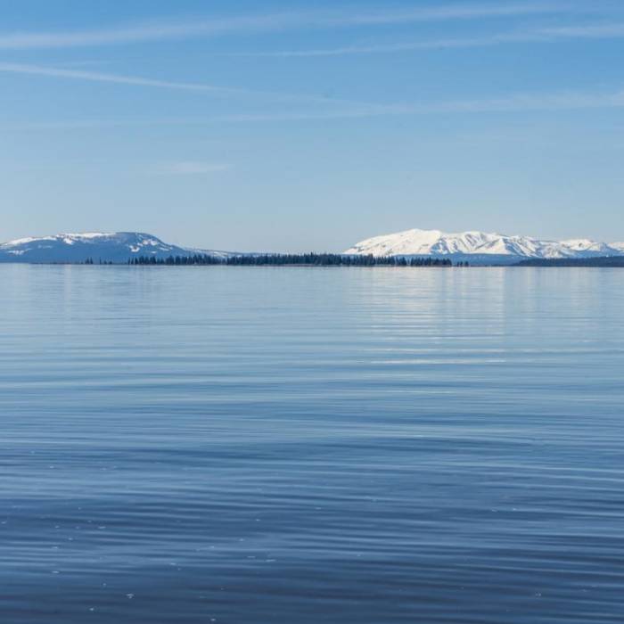 Near Pelican Creek Trail Near Pelican Creek Trail