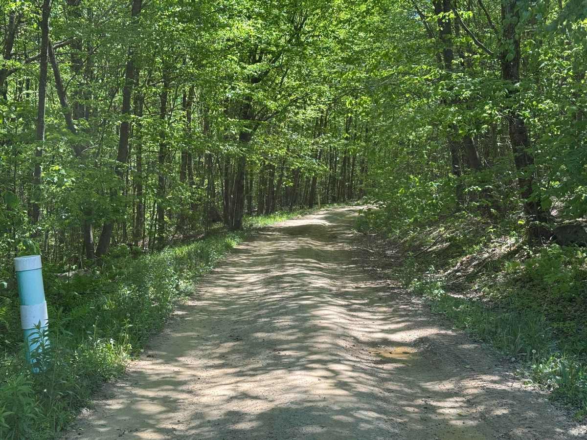 Hubert Run - FS 448 photo 6