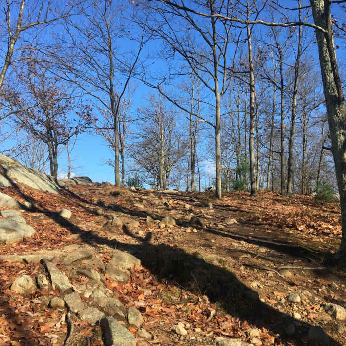 Near Dater Mountain Loop