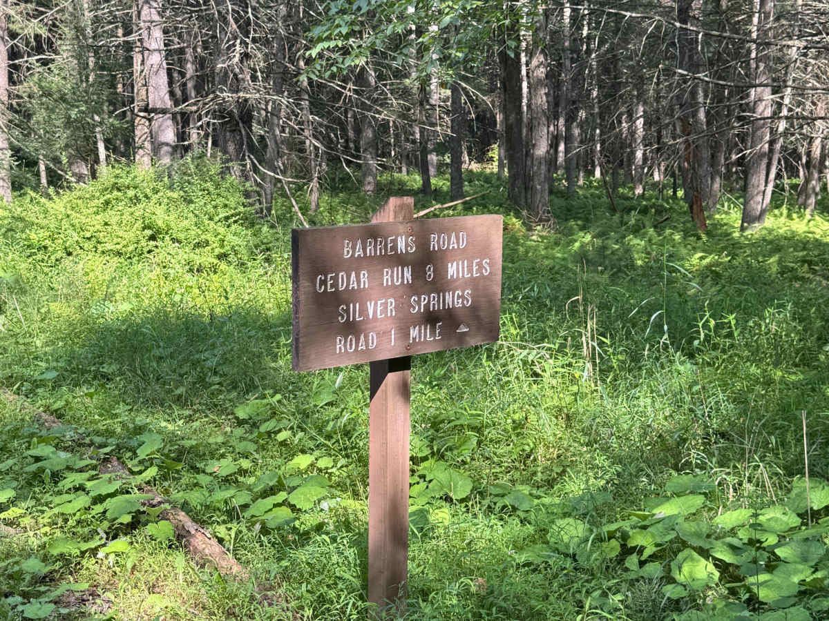 Barrons Road trail photo