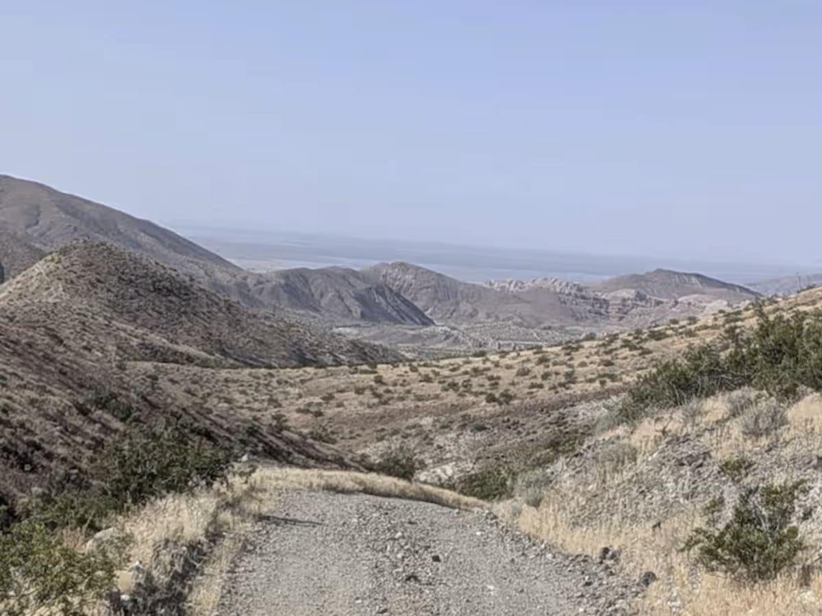 Joshua East photo 3