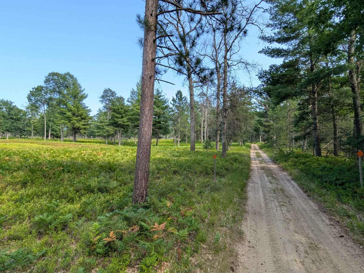 FS 2068 trail photo