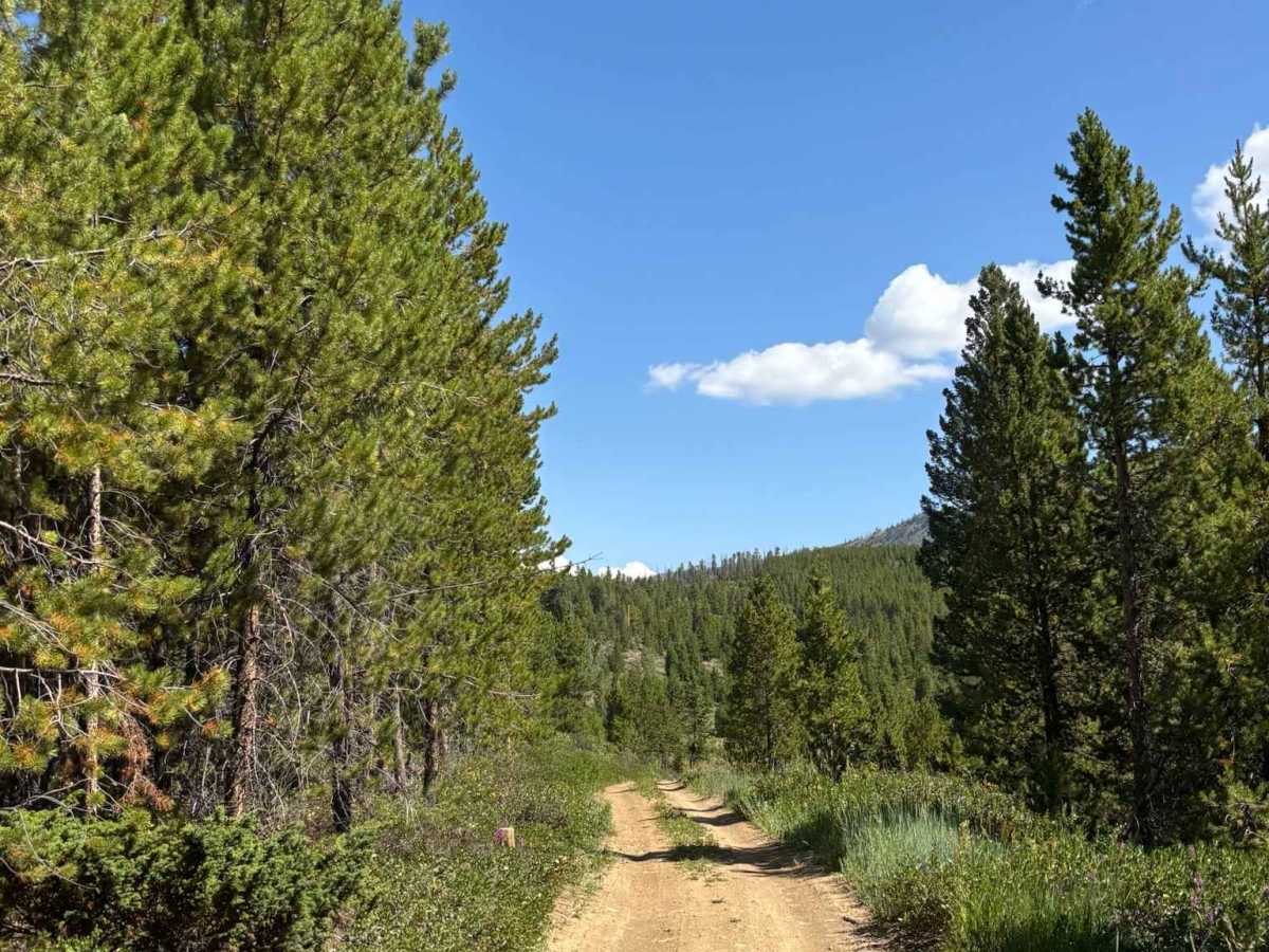 Bureau of Land Management 2762 Cutoff trail photo