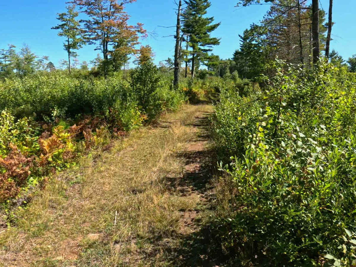FS 174A photo 5
