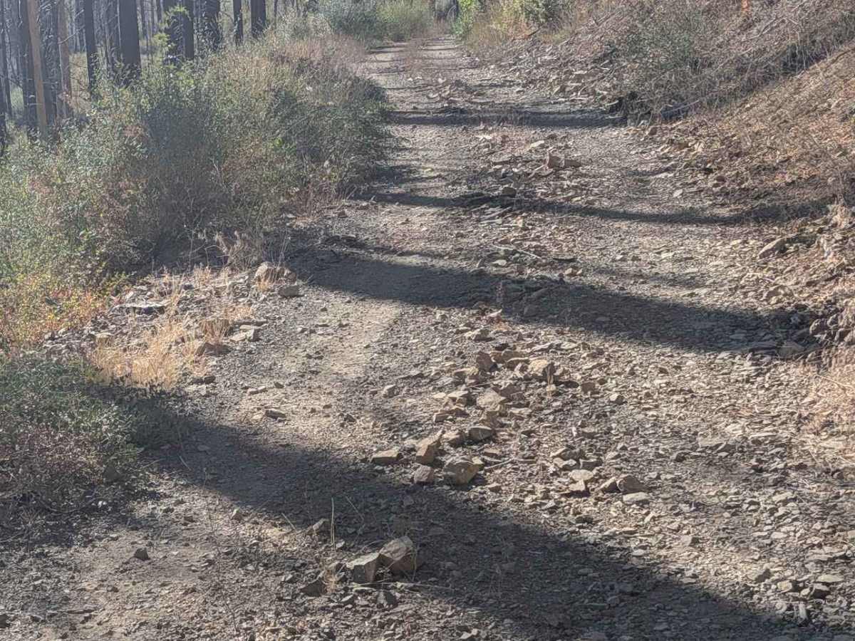 Baker Flat Road - FS 29N41 photo 6