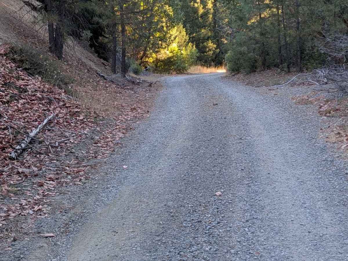 Potato Creek Road - FS 30N04  photo 2