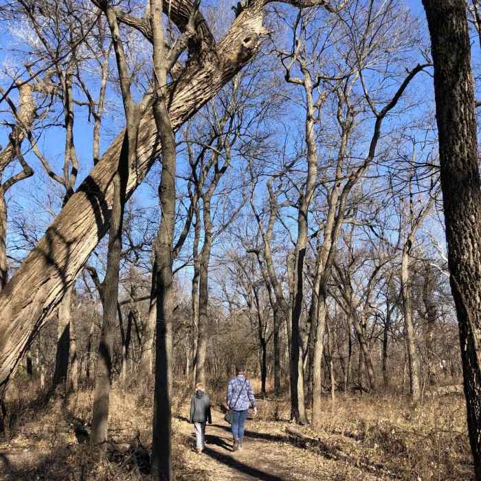 Near Chaplin Nature Center