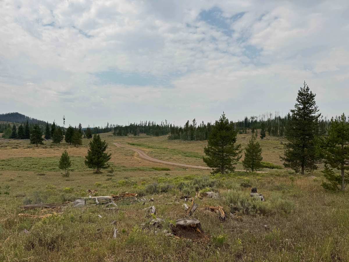 Reed Creek Road - FS 440  photo 6