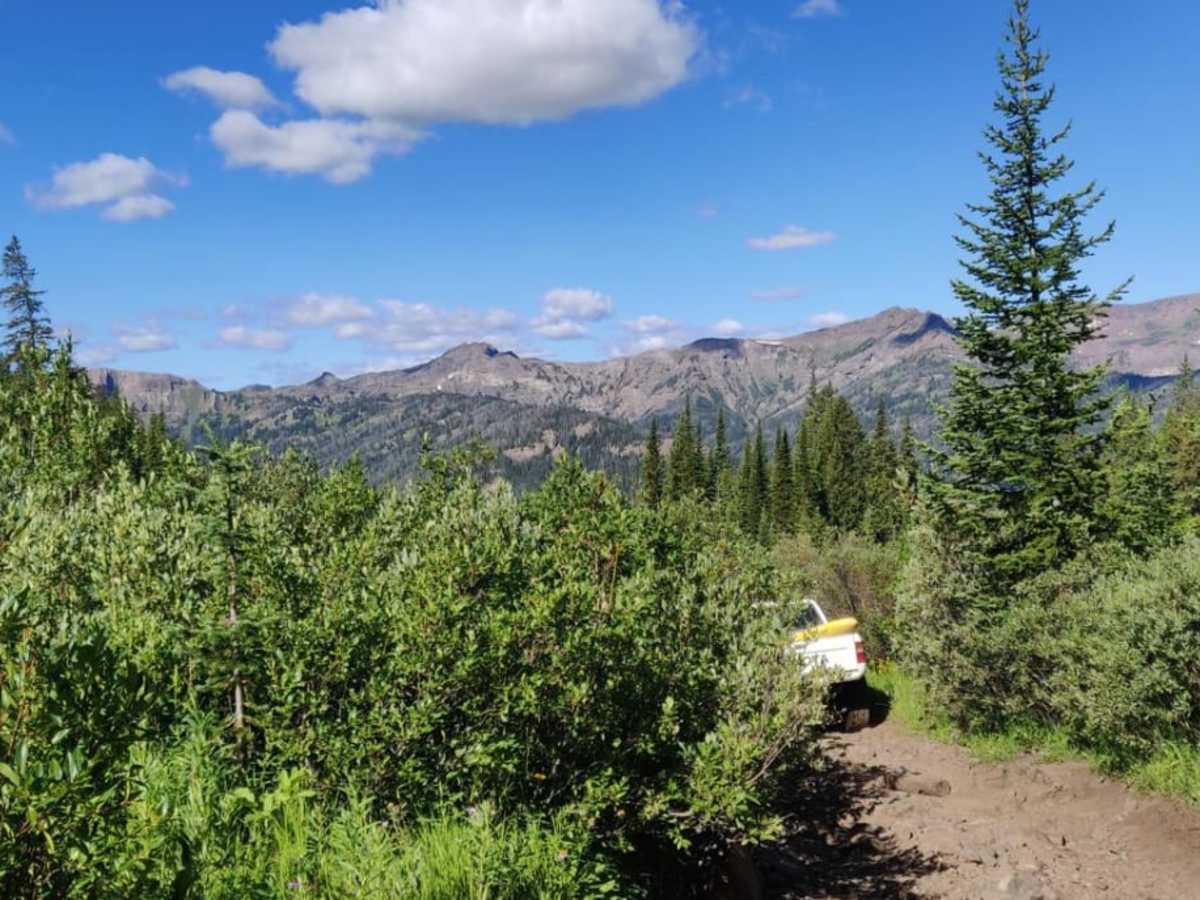 Independence Pass trail photo