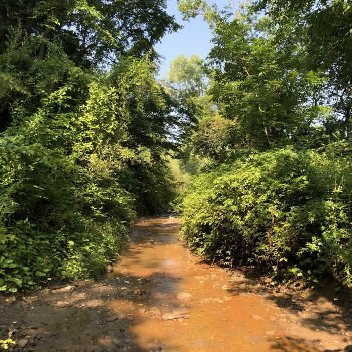 Near Langes Run Trail