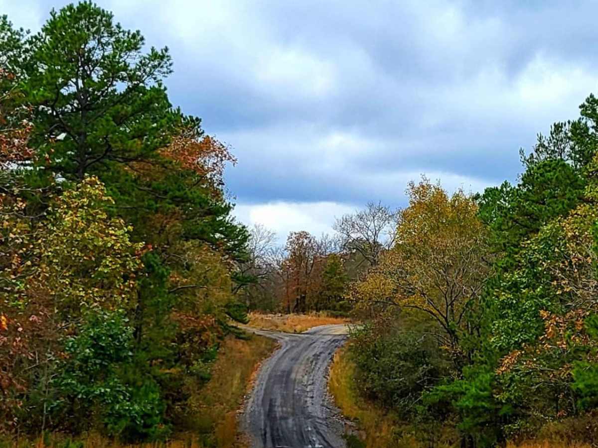 Cedar Creek Trail photo 3