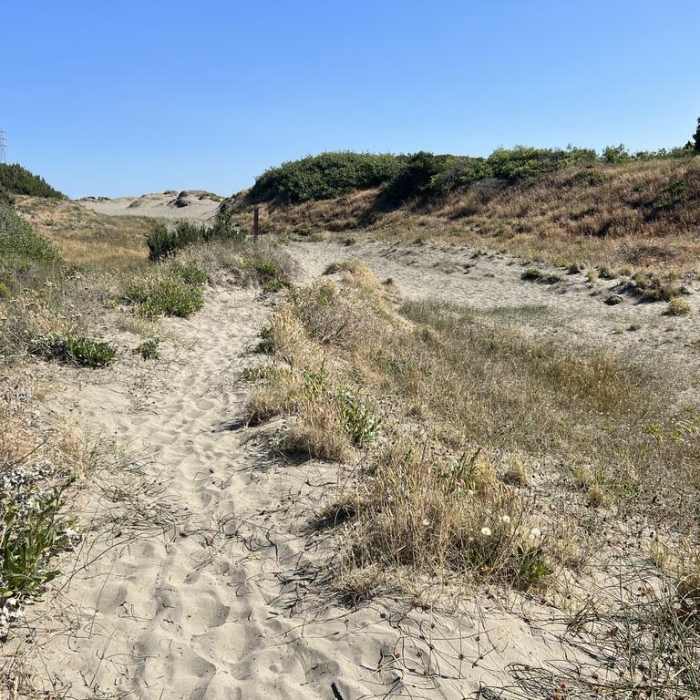 Near Ma-Le'l Dunes Trail