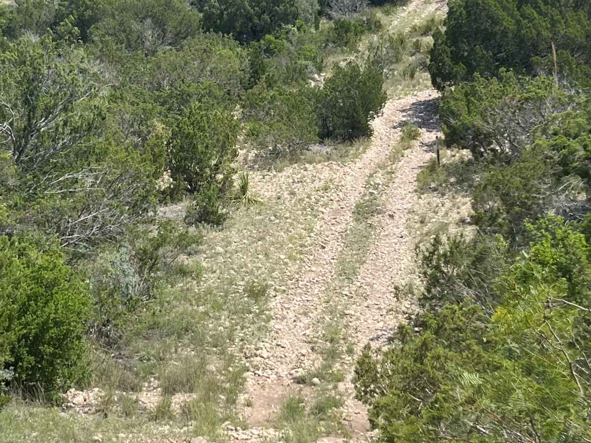 Pard Road 9 - PR9 photo 3