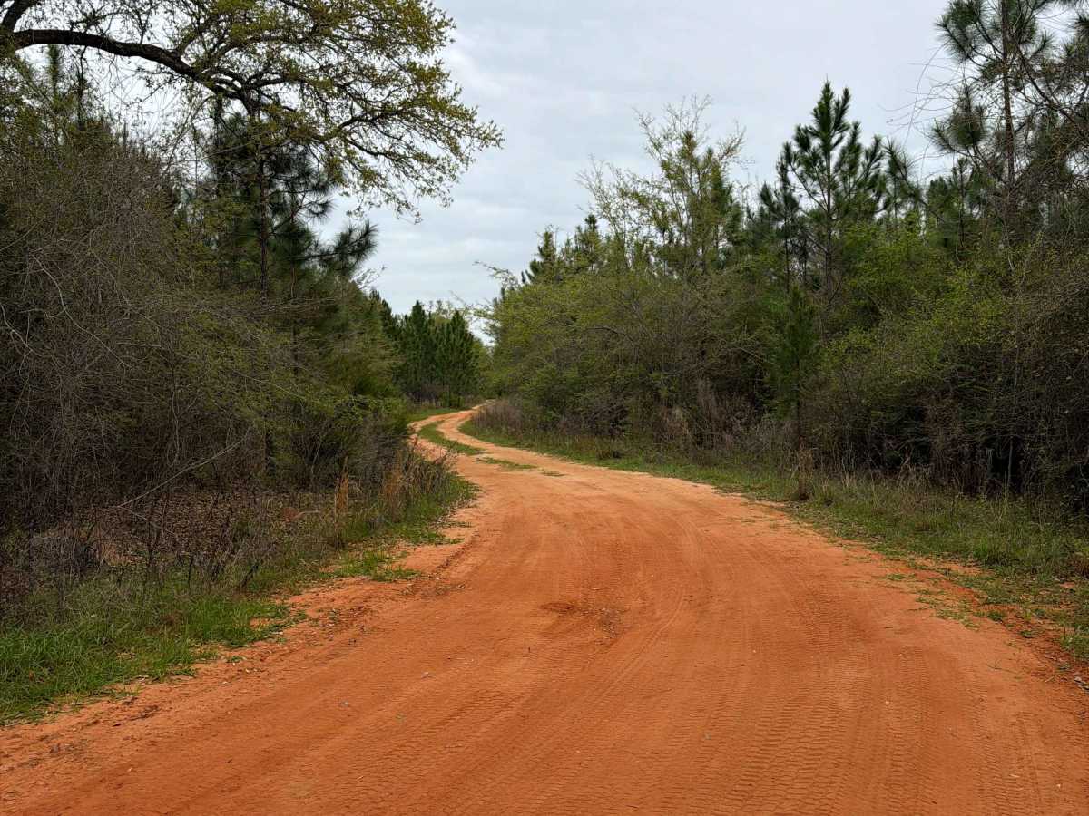 J 61 trail photo