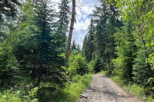 Spaw Gulch - FSR#606