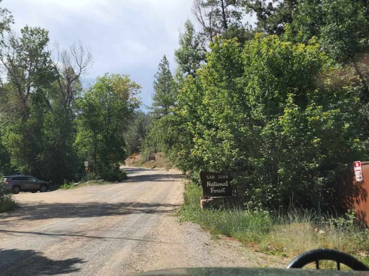 Junction Creek trail photo