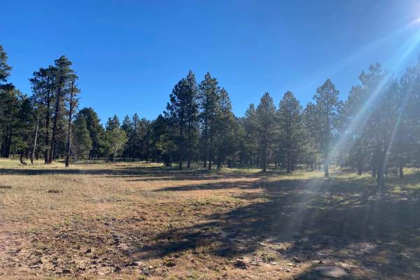 Elk Ridge