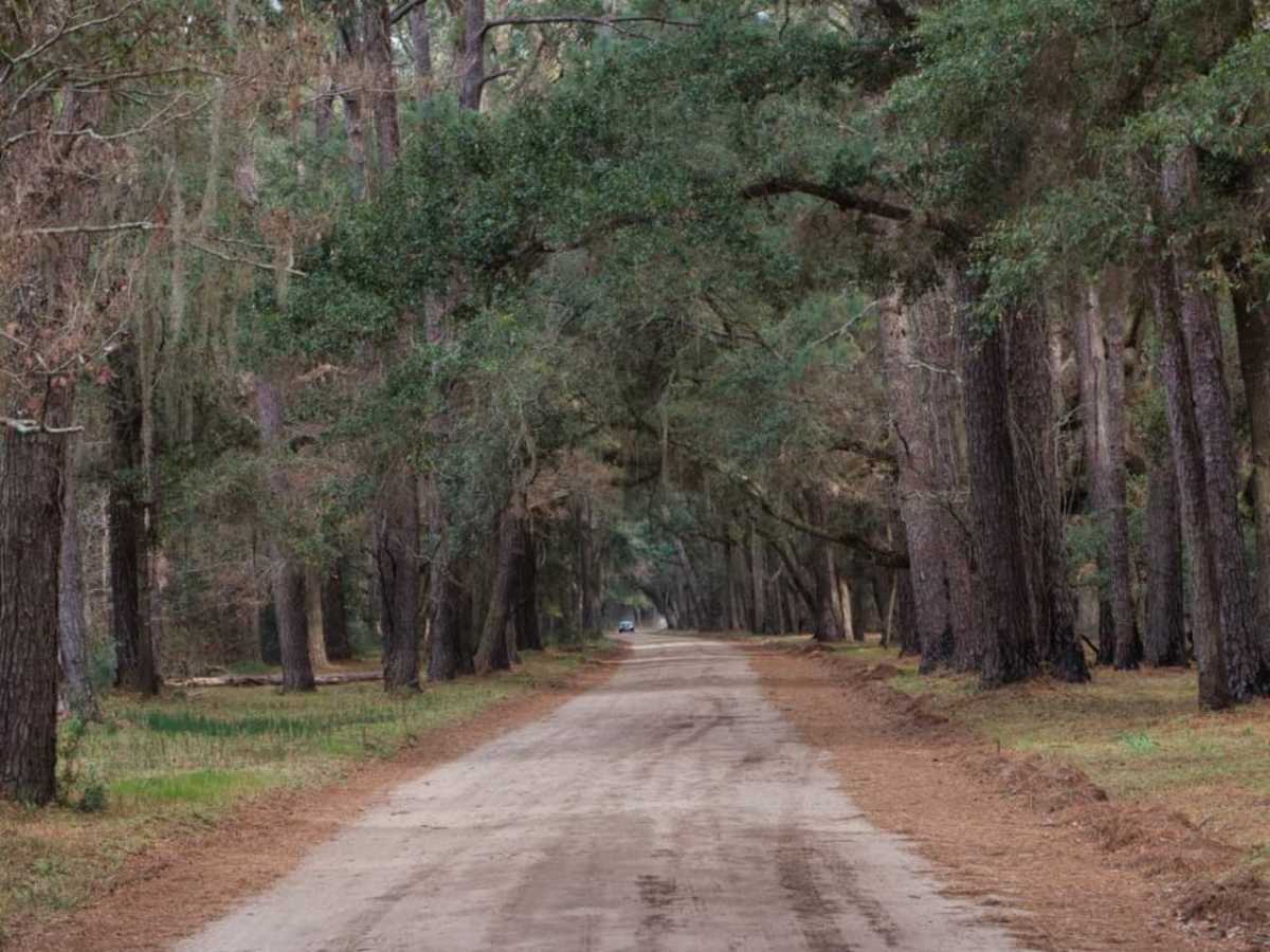 Botany Bay Plantation photo 4