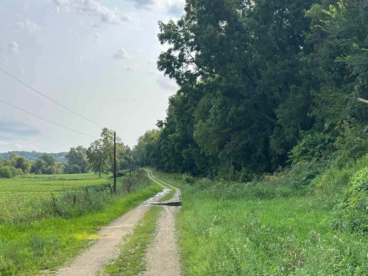 Icehouse Road trail photo