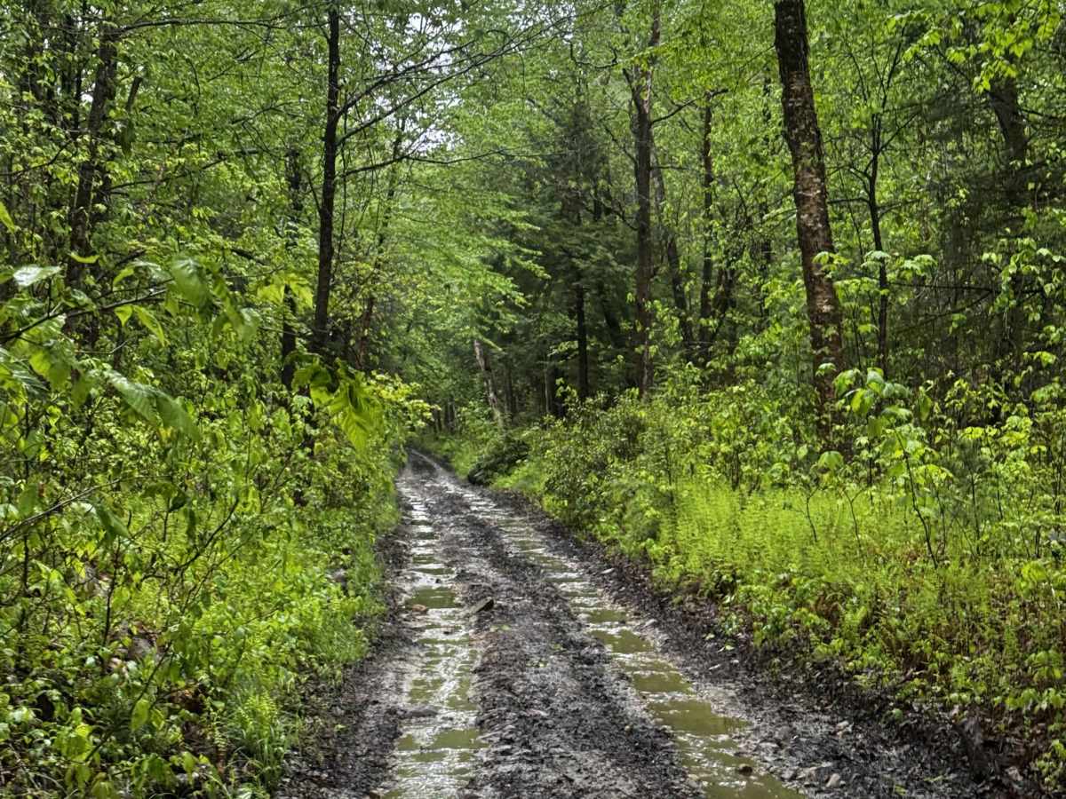 Amos Case Road - North Section photo 2