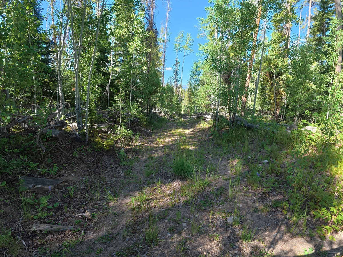 Willows Cabin Road - FS 280 trail photo