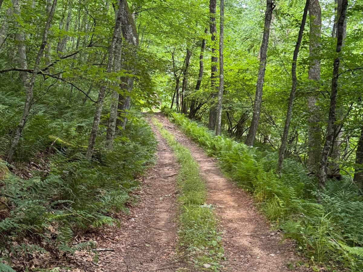 Jack Martin Trail photo 3