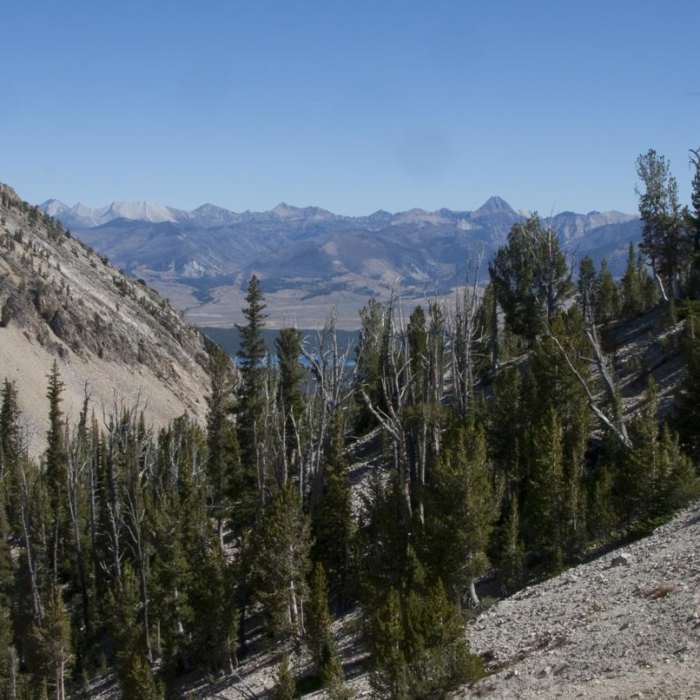 Near Edith Lake and Sand Mountain Divide