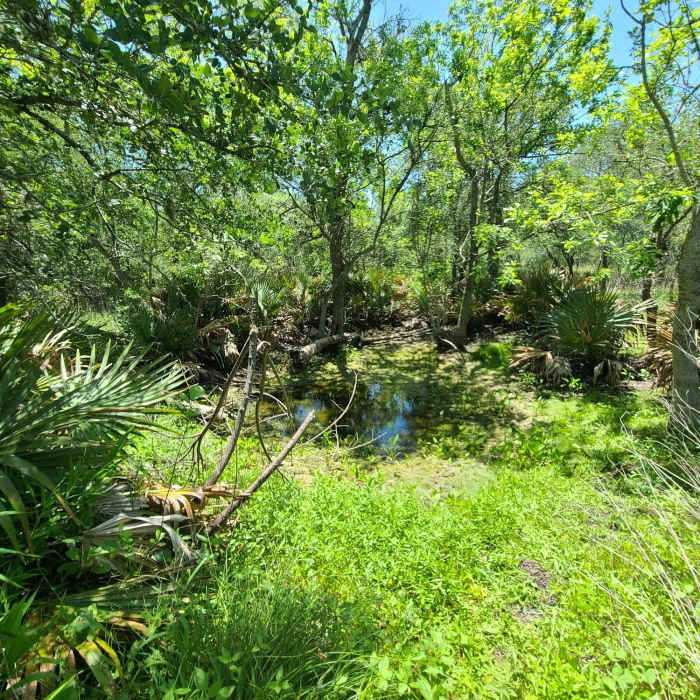 Near San Marcos Trail