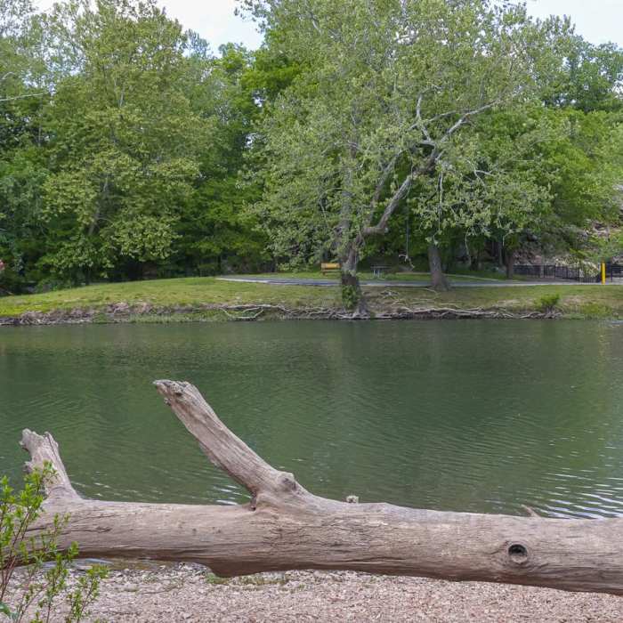 Near Low Bridge Trail