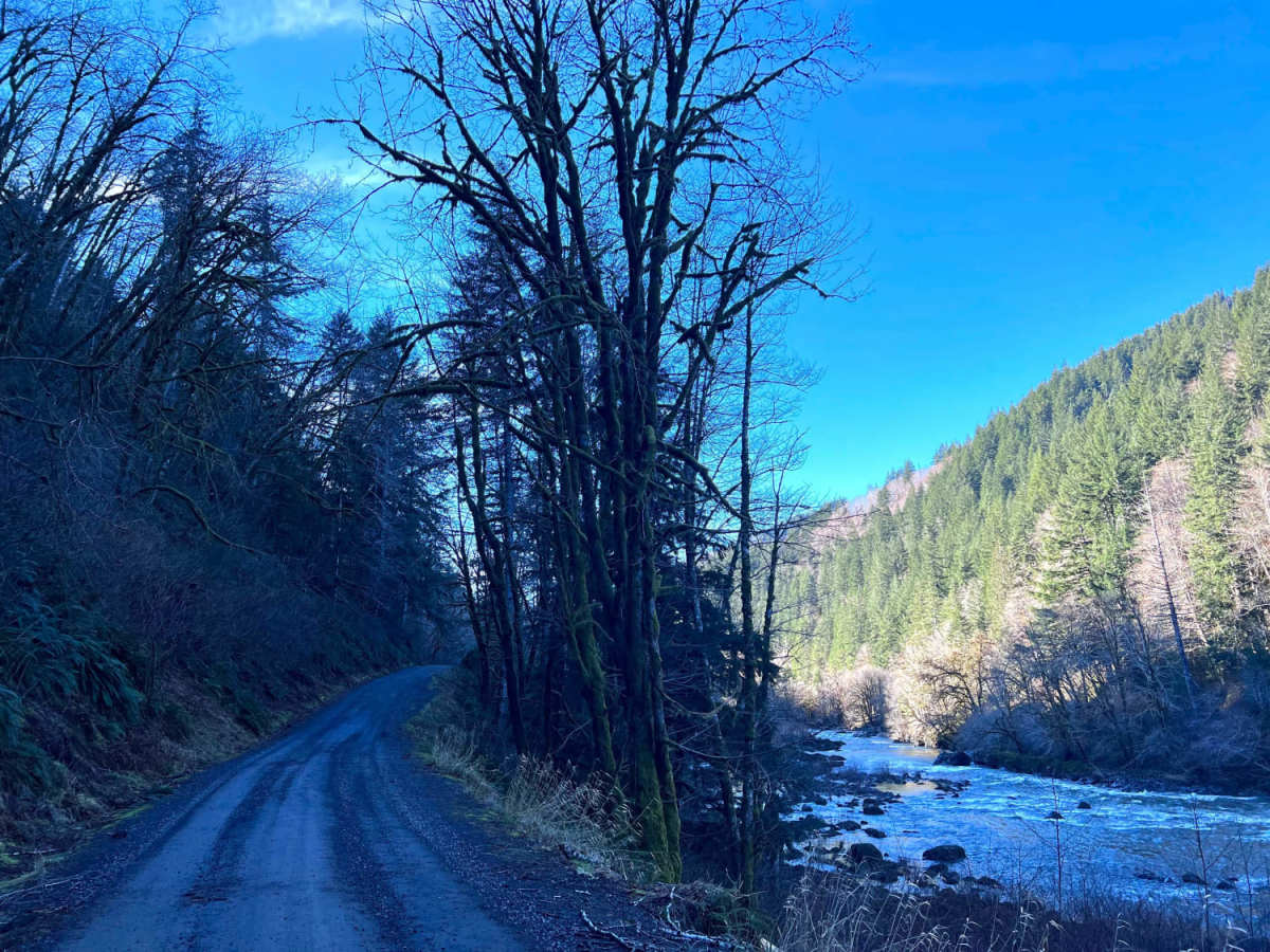 Lower Nehalem Road Beach Route trail photo