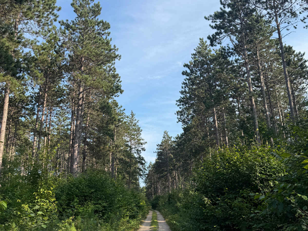 10-3.5 Trail trail photo