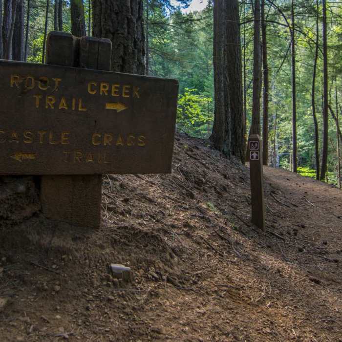 Near Root Creek Falls