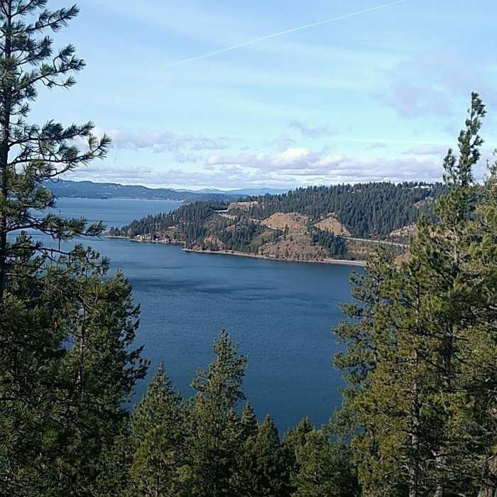 Near Mineral Ridge National Recreation Trail