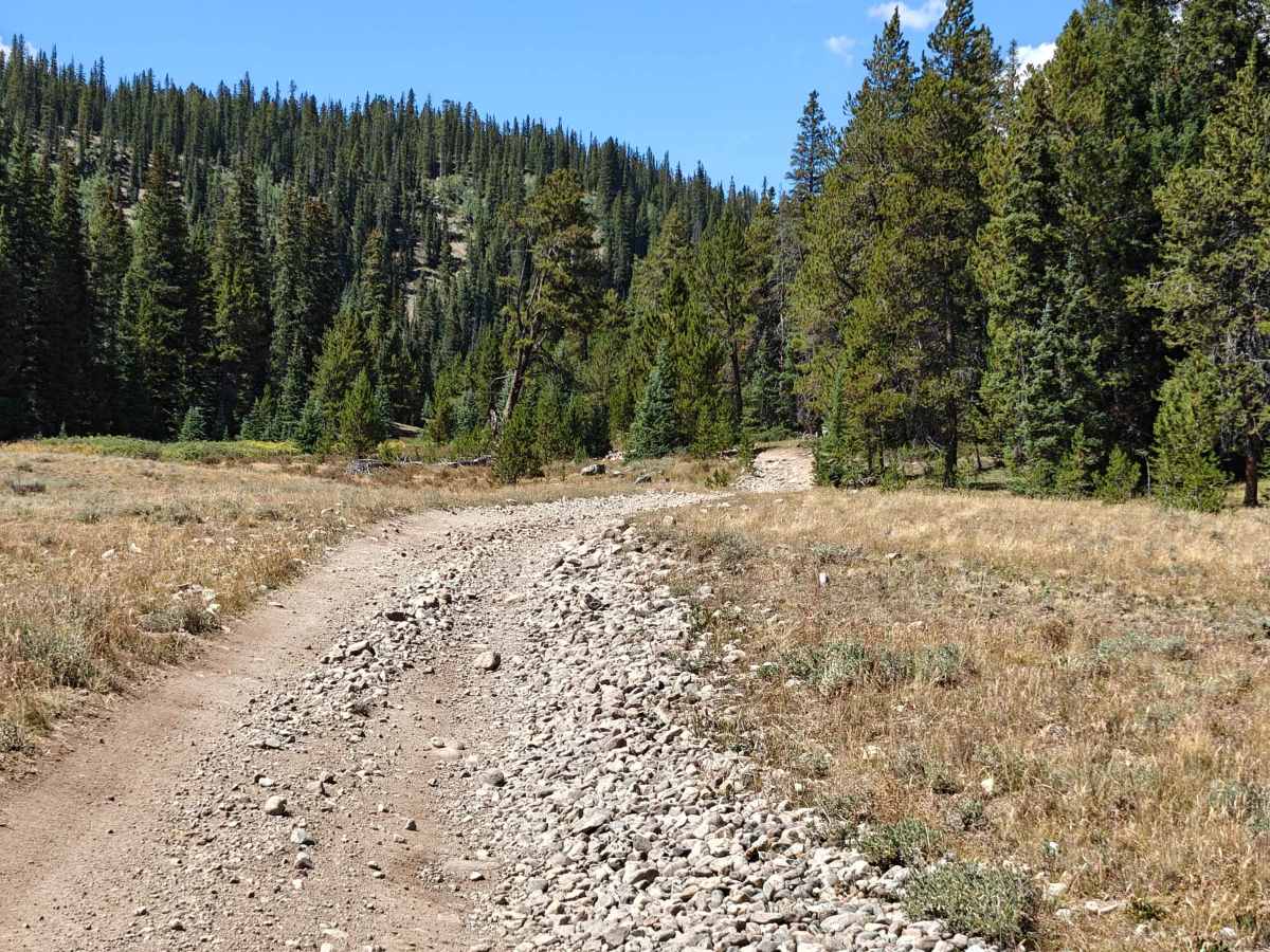 Tellurium Creek Road photo 5