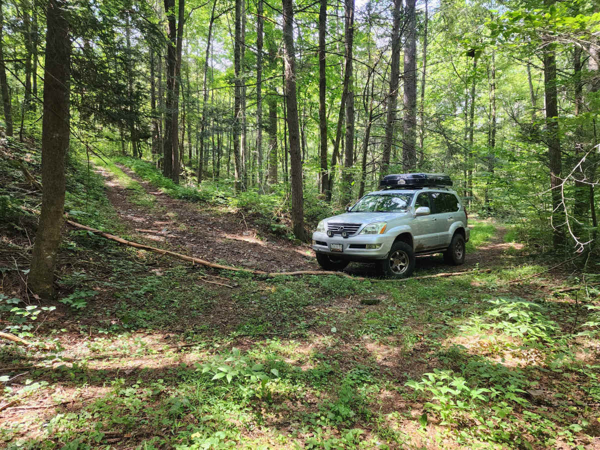 Feedstone Mountain photo 2