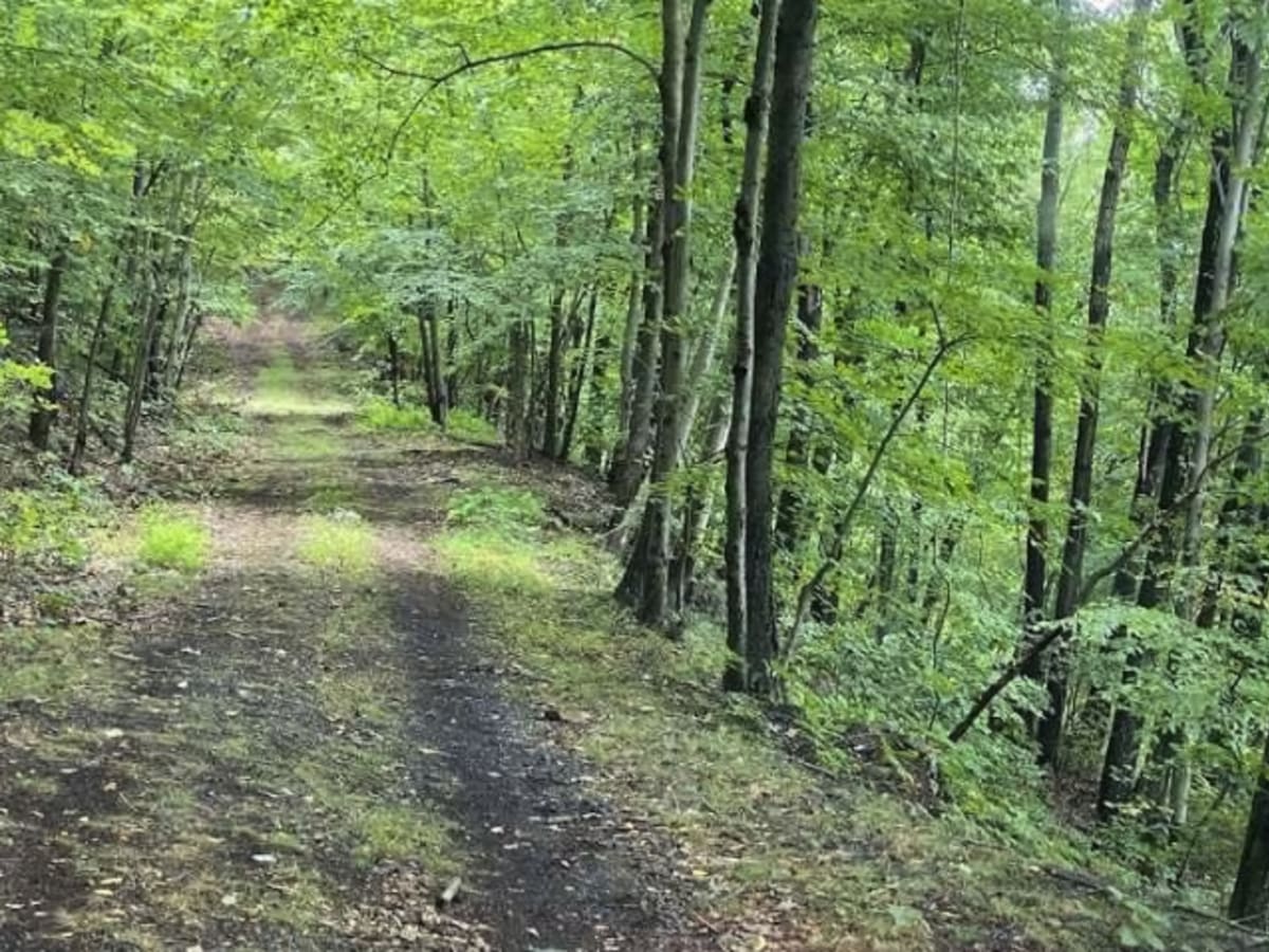 ATV Trail 3 photo 3